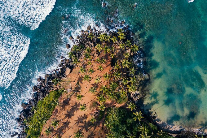 Highlights of Sri Lanka 8 Days Private Tour - From Anuradhapura’s stupas to Ritigala’s forest ruins