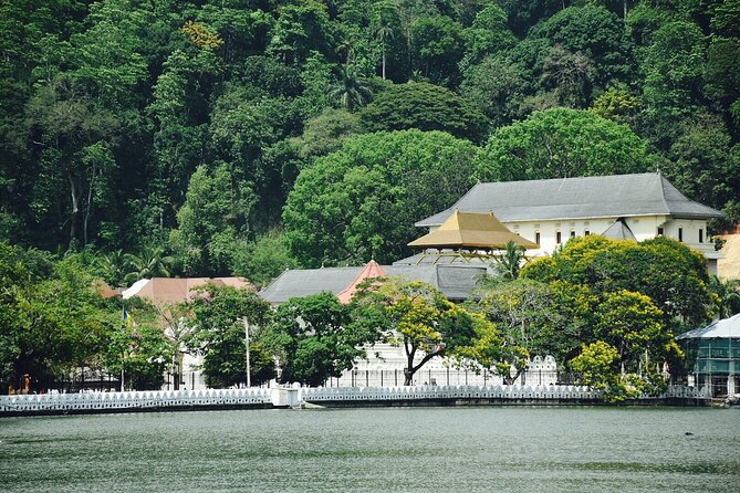 Highlights of Sri Lanka 8 Days Private Tour - Nuwara Eliya, Little Adam’s Peak, and Ella’s famous bridge