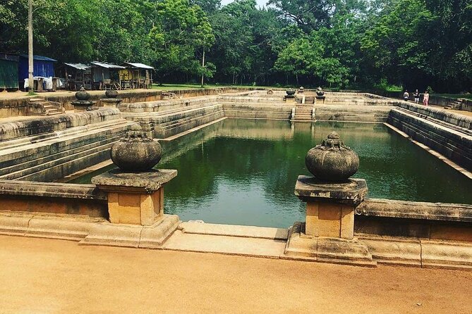 Highlights of Sri Lanka 8 Days Private Tour - Waterfalls, elephant rehabilitation, and the southern coast