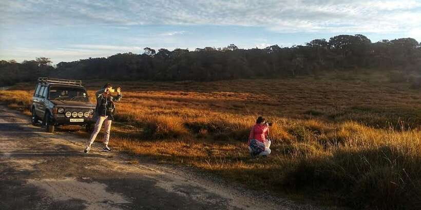 Horton plains: Discover real essence of central highland - Why the 5:30 am start matters at Horton Plains