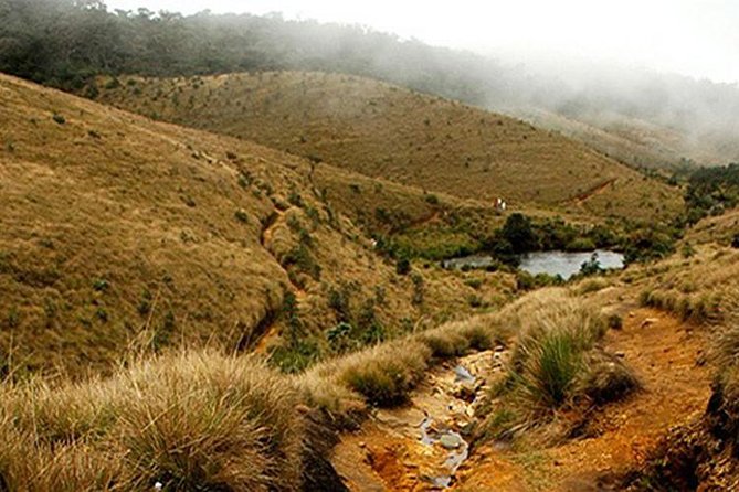 Horton Plains-World's End Tour and Tea Factory Tour From Nuwaraeliya - Key points at a glance