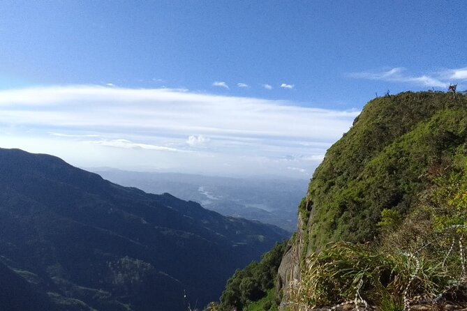 Horton Plains-World's End Tour and Tea Factory Tour From Nuwaraeliya - Why the 5:00 a.m. start matters at Horton Plains
