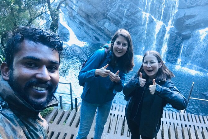 Horton Plains-World's End Tour and Tea Factory Tour From Nuwaraeliya - Pickup, timing, and small practical details