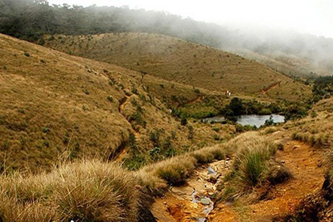 Horton Plains-World's End Tour From Nuwaraeliya - Key points at a glance
