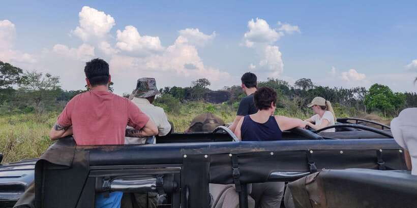 Hurulu Eco Park: 3-Hour Morning or Evening Safari - Morning or evening: choosing your safari time
