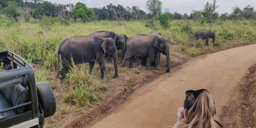 Hurulu Eco Park: 3-Hour Morning or Evening Safari - Who will enjoy this Hurulu safari most