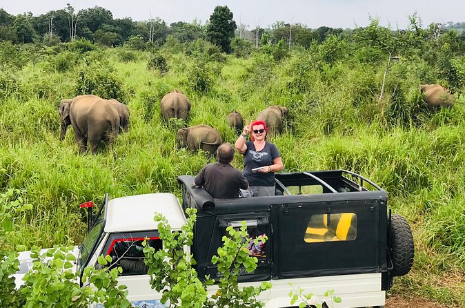 Hurulu Eco Park Half Day Safari - A Private Jeep Makes the Afternoon Easier