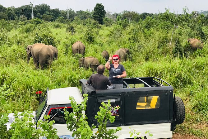 Hurulu Eco Park Half Day Safari - Meeting in Habarana and Getting to the Park