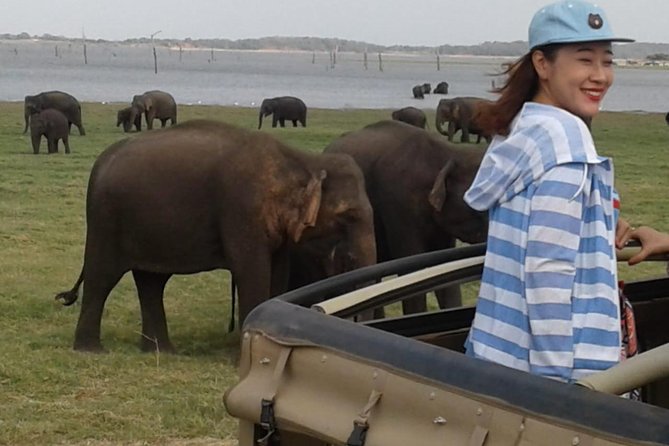 Hurulu eco park jeep safari - The problems to watch for