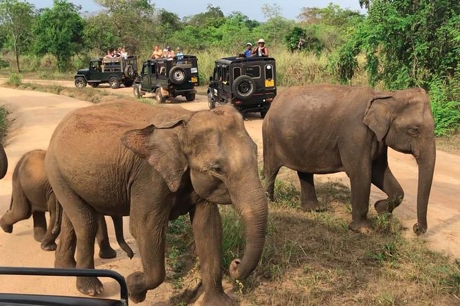 Hurulu Eco Park Private Safari - Limits you should understand before paying
