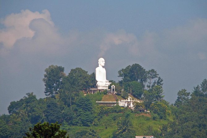 I Day Kandy Heritage Culture Tour - Two hours among the Royal Botanical Gardens