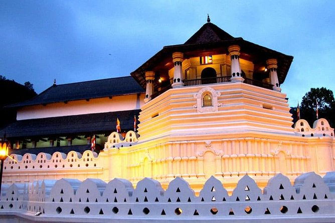 I Day Kandy Heritage Culture Tour - Forest paths at Udawattekele Sanctuary