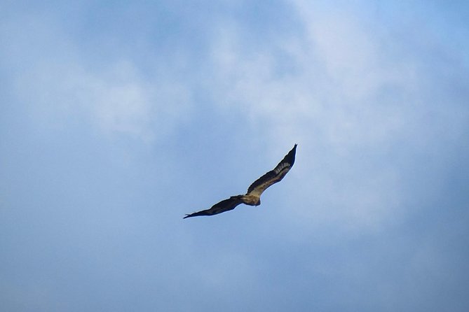 Jeep Safari at Kumana National Park - Kumana Villu and the birdwatching side of the safari