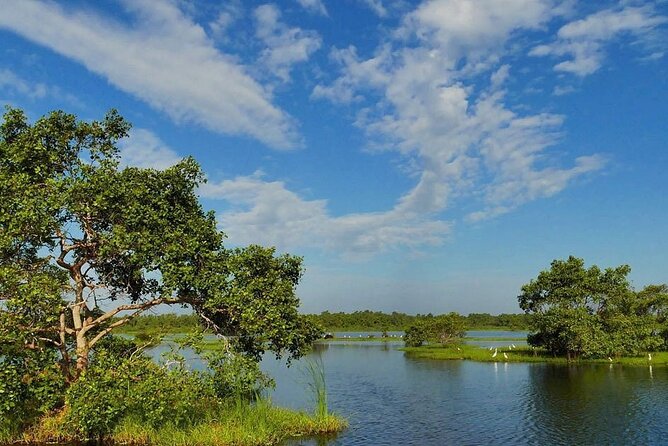 Kalametiya Bird Sanctuary Catamaran Bird Watching Tour - Arriving at the Lagoon and Boat Point