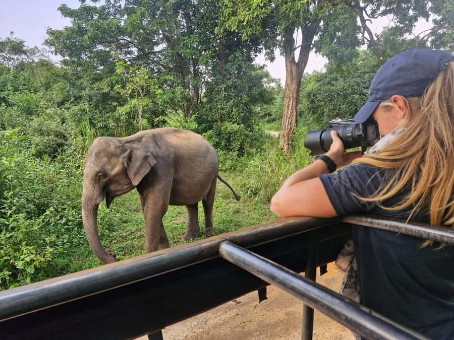 Kandy: 4-Day Sri Lanka Full Circle Private Tour To Colombo - Key points to know before booking