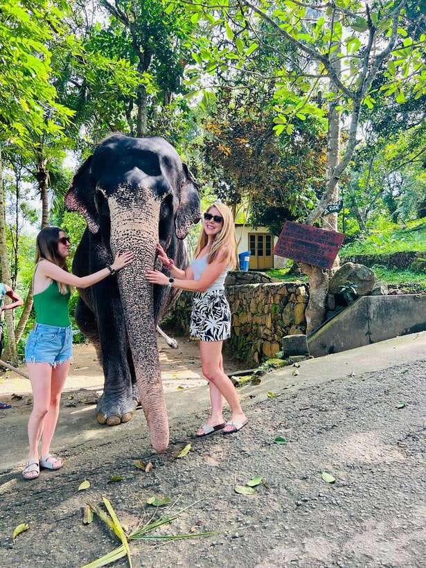 Kandy City Day Tour from Colombo, Negombo or Katunayake - Kandy View Point and the Big Buddha