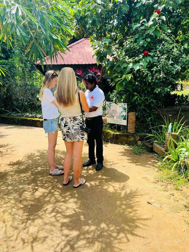Kandy City Day Tour from Colombo, Negombo or Katunayake - The Kandy Cultural Dance Show