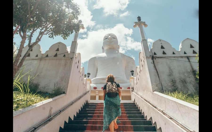 Kandy: City Explore with Local Guide By Tuk Tuk - Key points to know before booking