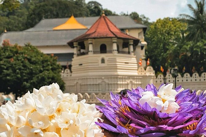Kandy City Sightseeing and Ambuluwawa Tower by Tuk Tuk Tour - A closer look at spices and Ayurveda