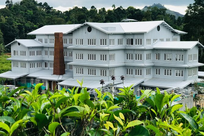 Kandy City Sightseeing and Ambuluwawa Tower by Tuk Tuk Tour - What the private tuk-tuk format changes