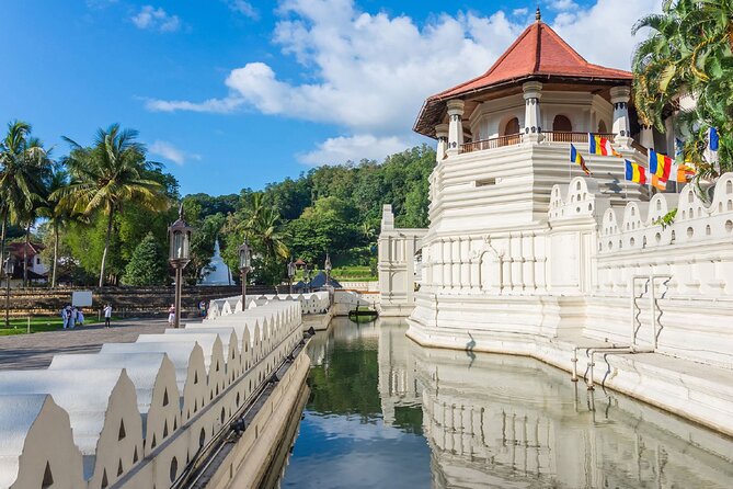 Kandy City Sightseeing and Ambuluwawa Tower by Tuk Tuk Tour - Is $20 a good value?