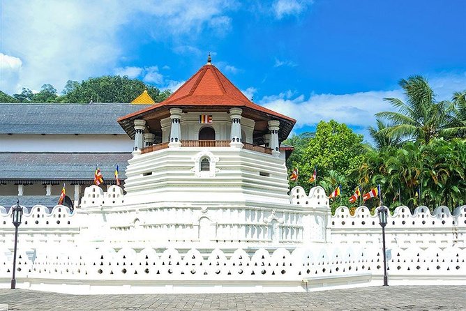 Kandy City Tour by Lux Tours Lanka - Key points before you book