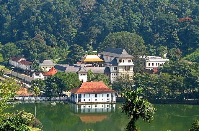 Kandy City Tour by Lux Tours Lanka - Temple of the Sacred Tooth Relic