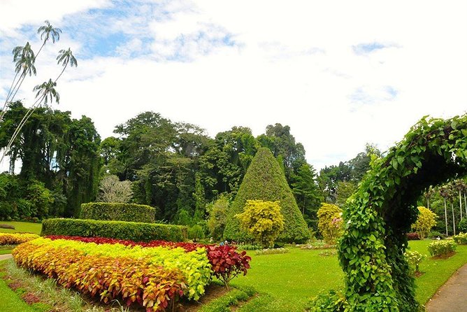 Kandy City Tour by Lux Tours Lanka - Udawattakele Forest Reserve above the city