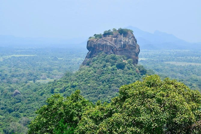 Kandy City Tour & Famous Ambuluwawa Tower with Friendly Chauffeur - Seeing how Ceylon tea is made