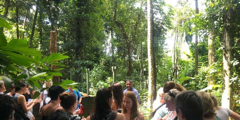 Kandy City Tour With Ambuluwawa Tower - Should you book the Ambuluwawa and Kandy tuk-tuk tour?