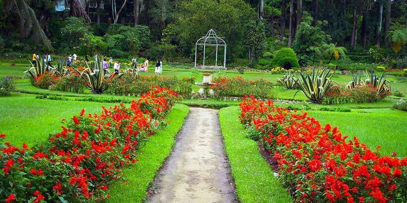 Kandy City Tour With Ambuluwawa Tower - Who will get the most from this Kandy day