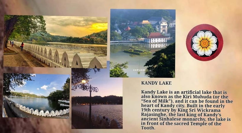 Kandy: City Tour with Temple of the Tooth & Tea Garden - Why Kandy Works Best With a Local Guide