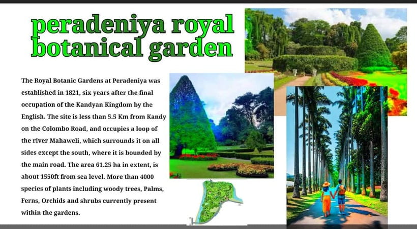 Kandy: City Tour with Temple of the Tooth & Tea Garden - A Tuk-Tuk Route With River Stops and Hilltop Views