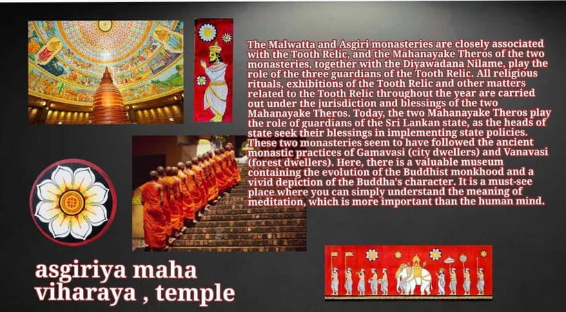 Kandy: City Tour with Temple of the Tooth & Tea Garden - Street Food, Local Flavor, and the Traditional Dance Show