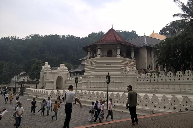 Kandy Day Tour From Colombo - The $200 price and what it really covers