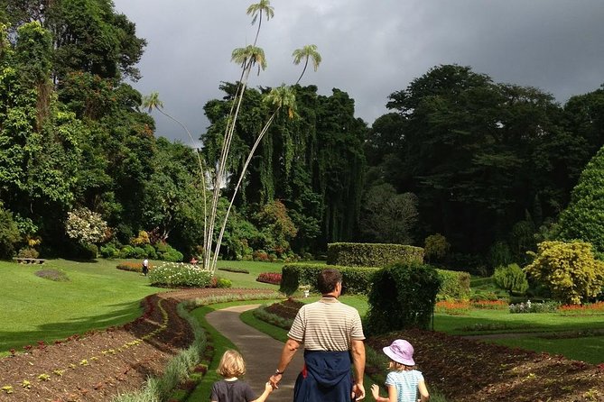Kandy Day Tour From Colombo - Kandy Lake, the viewpoint, and four hours in town