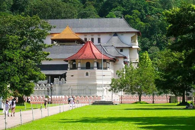 Kandy Day Tour From Colombo - Which kind of visitor will enjoy this most?