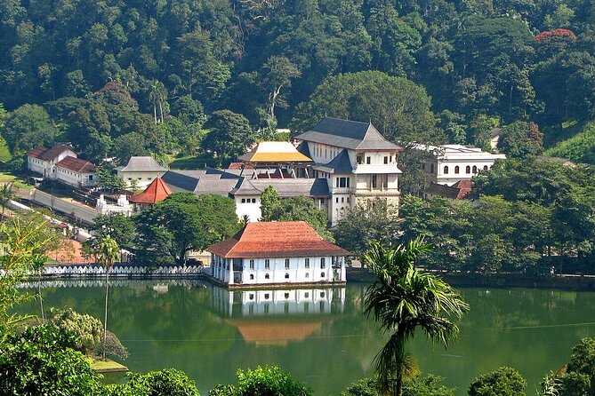 Kandy Day Trip with Tooth Relic Temple & Unique Attractions - Why this Bentota to Kandy day works