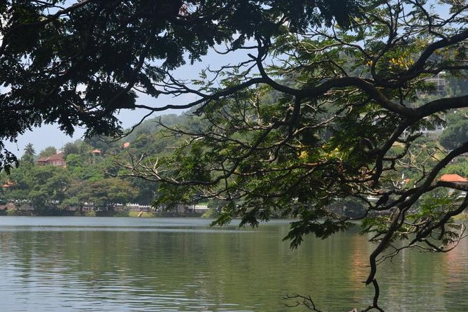 Kandy Full-Day Tour - Rooftop lunch with Kandyan views
