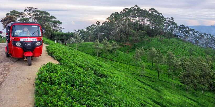 Kandy: Nuwara Eliya Day Trip - Ramboda Waterfall and the best mountain scenery