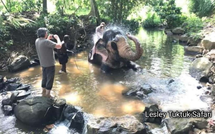 Kandy : Pinnawala Elephant Safari Private Guid Tuk Tuk Tour - Key points to know before booking