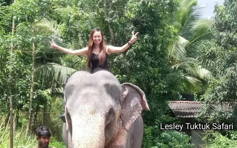Kandy : Pinnawala Elephant Safari Private Guid Tuk Tuk Tour - The guides make the biggest difference