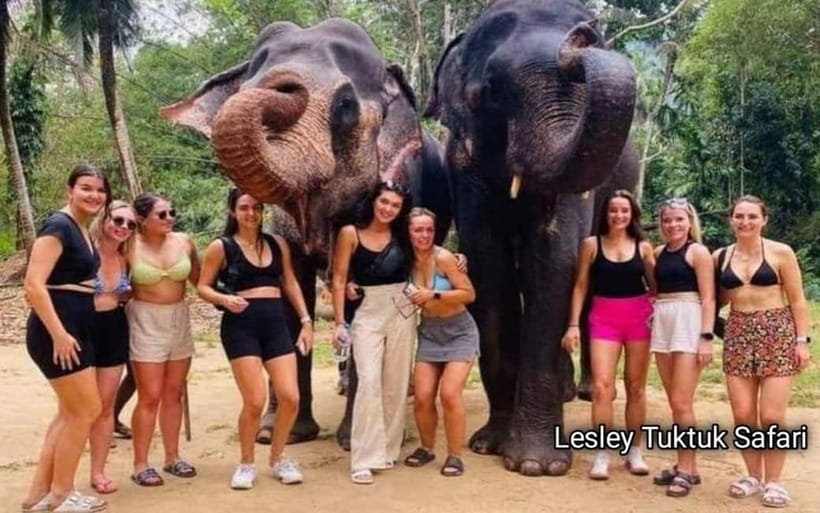 Kandy : Pinnawala Elephant Safari Private Guid Tuk Tuk Tour - Tea, spices, gems, and craft workshops