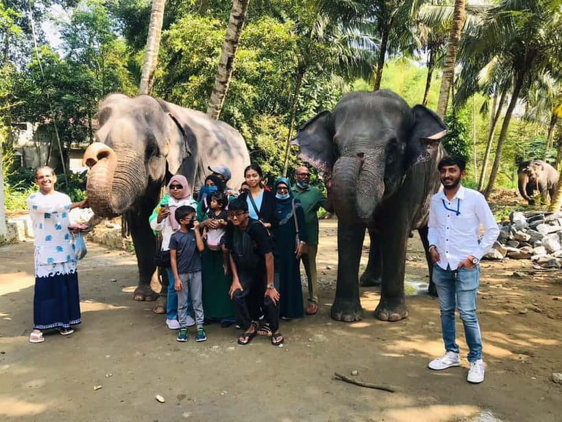 Kandy : Pinnawala Elephant Safari Private Guid Tuk Tuk Tour - Kandy’s temples bring the day back to the city