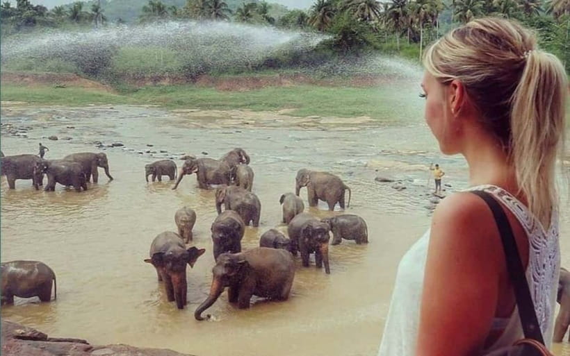 Kandy : Pinnawala Elephant Safari Private Guid Tuk Tuk Tour - Viewpoints and small local moments