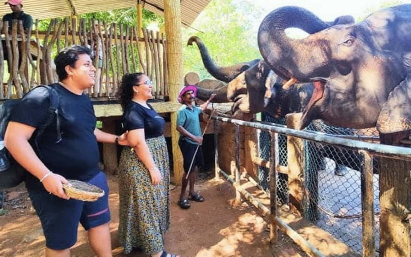 Kandy : Pinnawala Elephant Safari Private Guid Tuk Tuk Tour - What the tuk-tuk format feels like