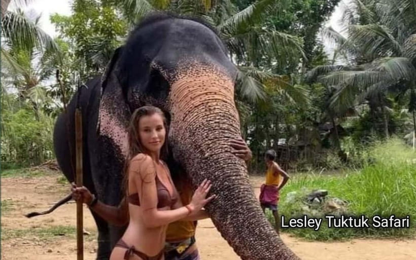 Kandy : Pinnawala Elephant Safari Private Guid Tuk Tuk Tour - Is $24 good value for this Kandy day?