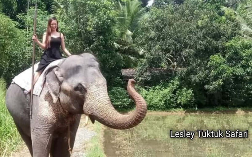 Kandy : Pinnawala Elephant Safari Private Guid Tuk Tuk Tour - Kadugannawa adds mountain-road context