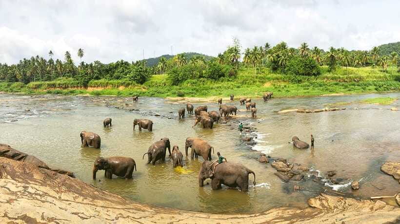 Kandy, Pinnawala Private Day Trip From The West Coast Beach - What the private format adds