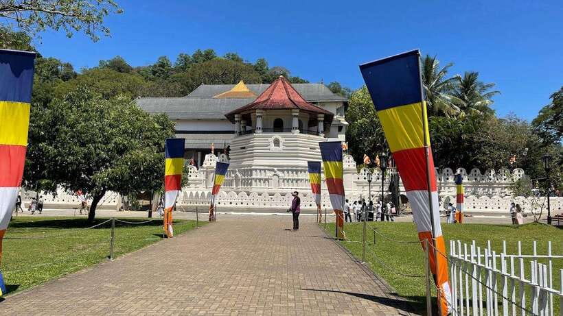 Kandy & Pinnawala & Tea Factory Full Day Tour From Negombo - Pinnawala and the Millennium Elephant Foundation